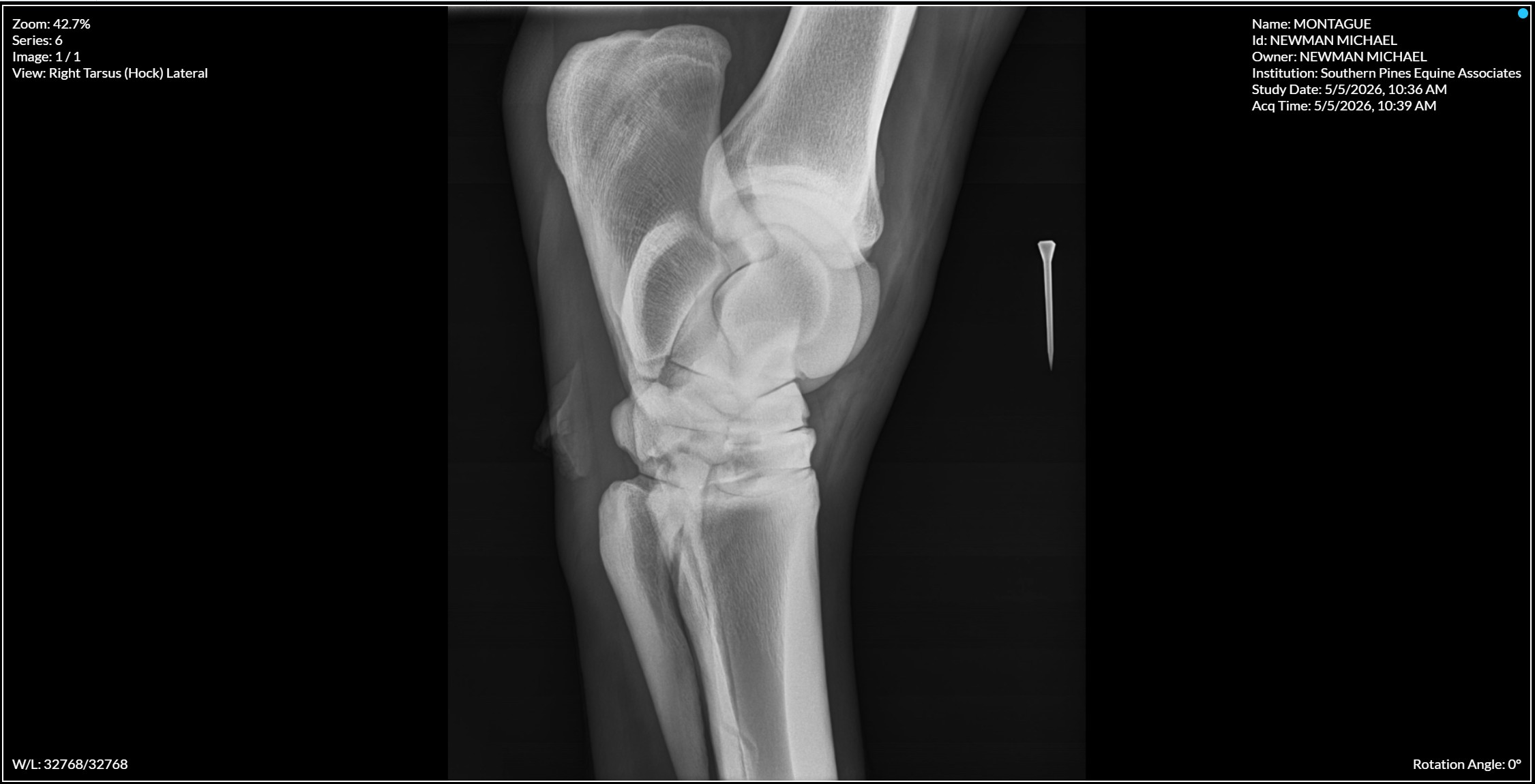 Right Tarsus Hock Lateral